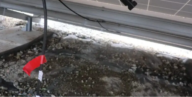 スネイルトレイル放置によるパネルのひび割れ